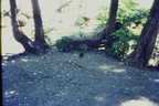 IMAG0033