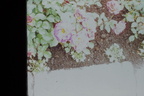 IMAG0011
